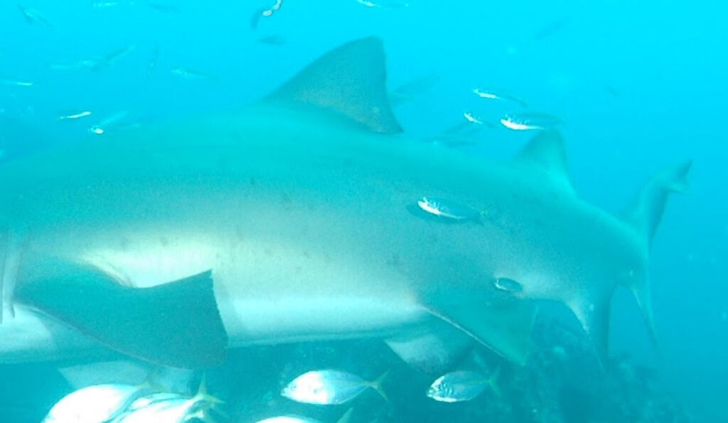 58bda85c-480e-4358-9cbb-10d19167b84a