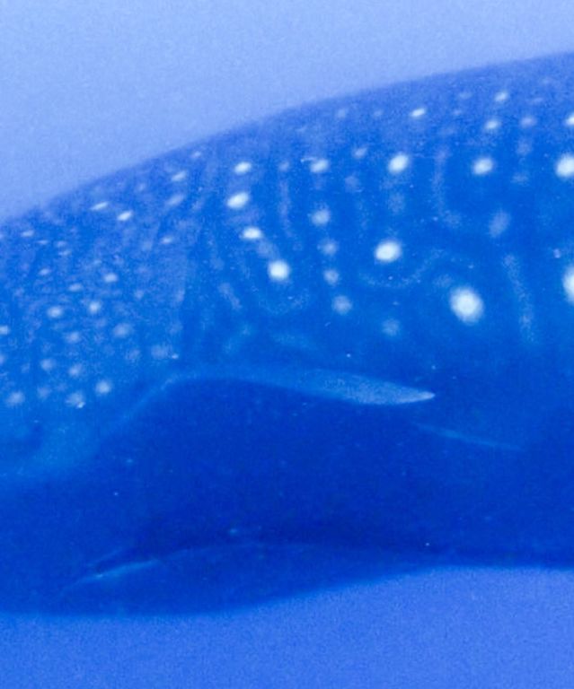 c7c6a141-9991-492e-88a5-b1ab74d6b058