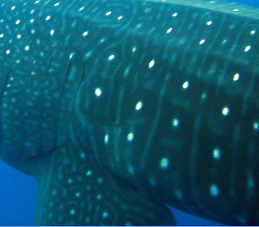 56ba3b9c-2cdc-42fa-a118-72a0334993ea