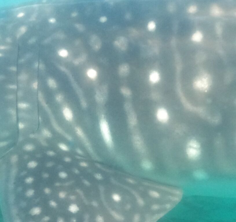 5b01e0c4-8fbe-4bcf-a6f8-c316c32782b4