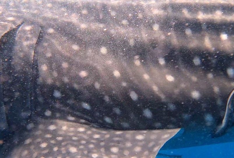 599efdaa-09df-47e0-b62b-8aa9de8070c9