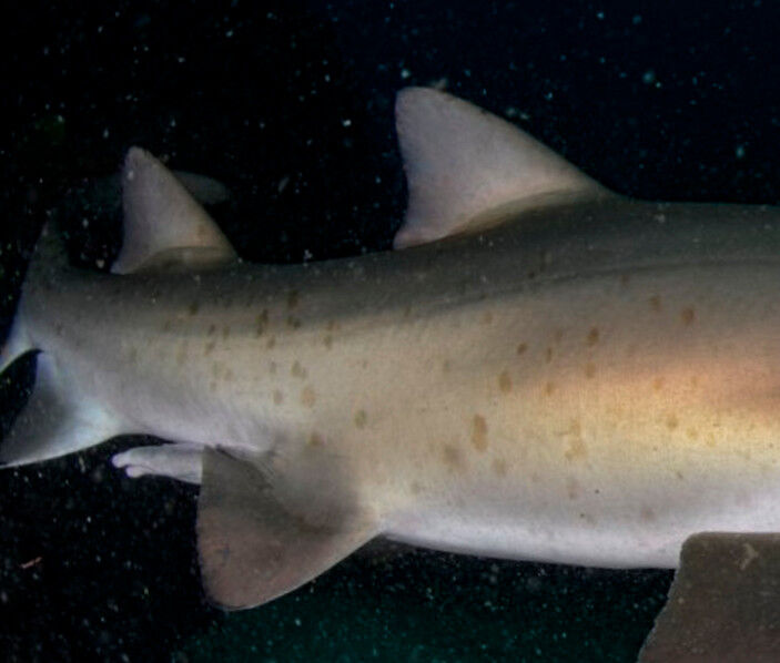 7e32625c-ba67-49f6-a164-4df59a5930d2