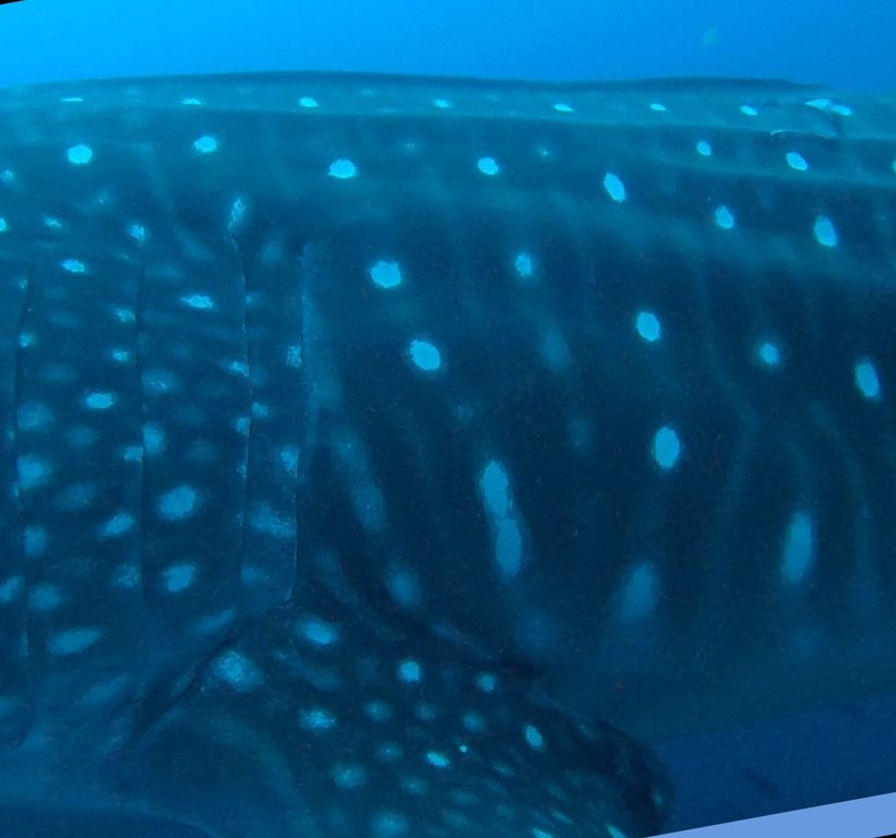 7c6cdbb1-9520-4c12-9cc5-8b7435a25721