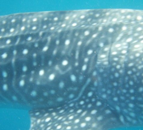 ac45def7-98e6-4d19-a7b2-57d5c7bf9b06