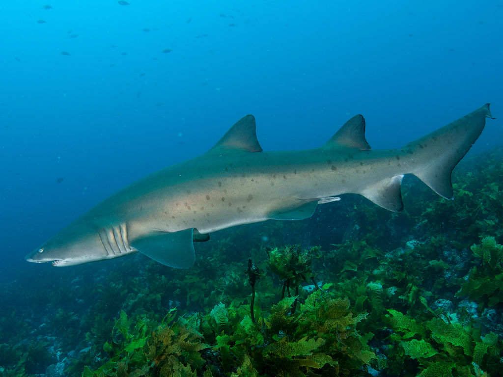 018911b0-73d8-4aa5-8a27-fedbfc544aab