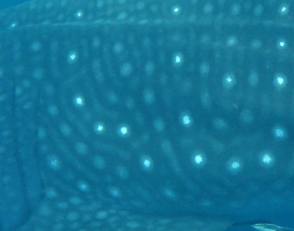 c9263105-70fe-41da-b439-9be9d06d22c5