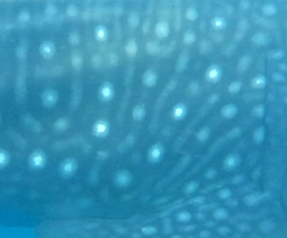 c9263105-70fe-41da-b439-9be9d06d22c5