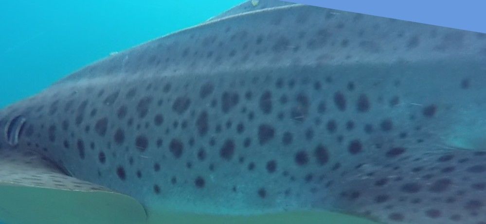 f721387a-6221-40e0-a448-70976ec5fd90