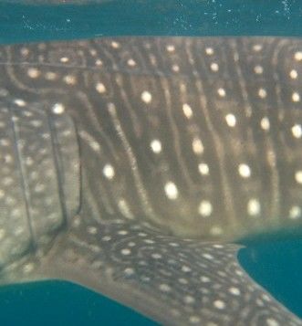 ae567d3b-7c7a-4195-9d61-f9f28b74a668