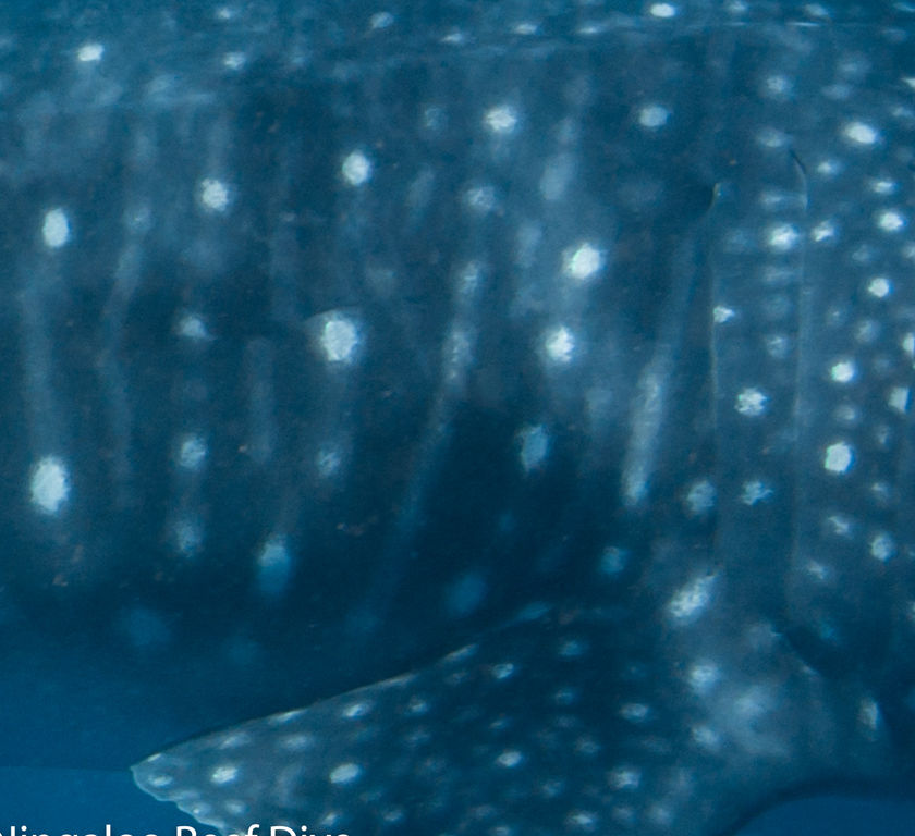 0aad58bf-edc3-42ce-800a-8dc92eb12242