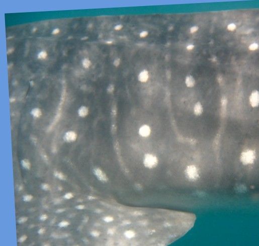 22f86a84-af08-4a59-9479-27e3ad89041a