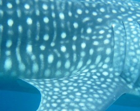 467238a0-06ac-4cc5-b5dc-f108034aef30