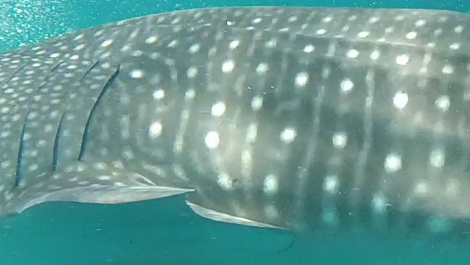 4cdd898f-d667-416d-a671-5fbb62fba7b1