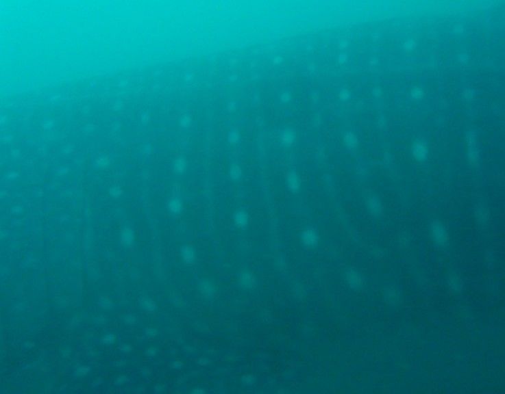 94e9b8ef-78db-44a5-a303-11c8c724d33d