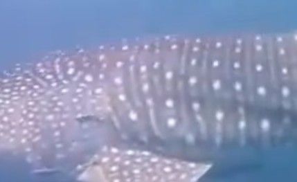 701f8e71-c7f8-4984-9f56-aa5c867b190f