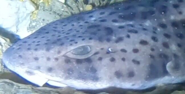 51255181-a180-42ee-8260-8e10c530c213