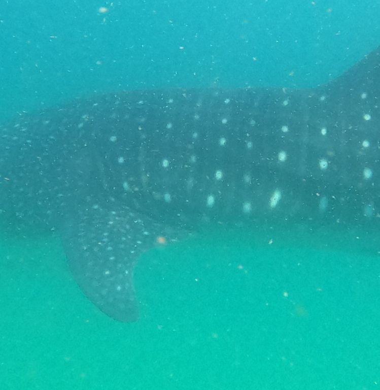 a4fc8651-b032-49d0-9fa3-264eaad98992