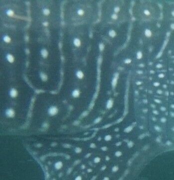 a9cfd1bf-4548-4057-8adc-d1ad622cac44