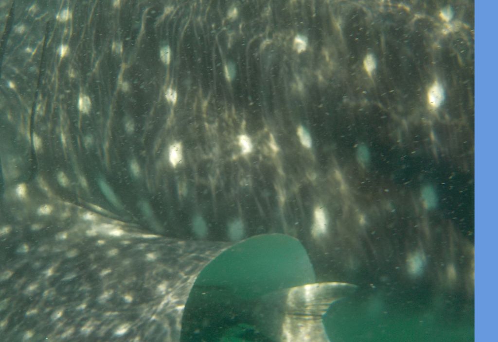 71d9f6b7-ea03-434b-bb29-9dae28eed8a7