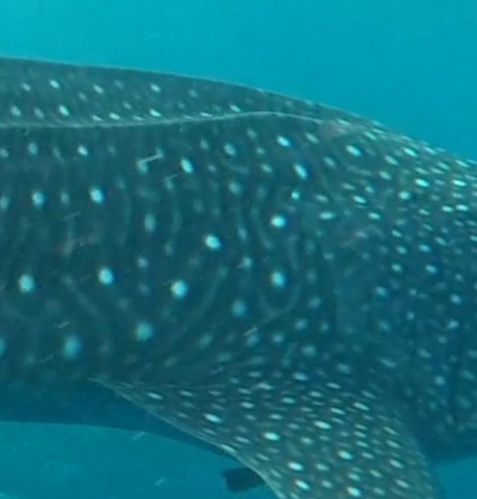 d4297c39-b1aa-402e-a2d3-ce4c5c2f5509