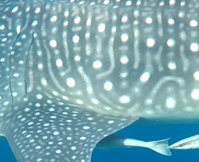 d4297c39-b1aa-402e-a2d3-ce4c5c2f5509