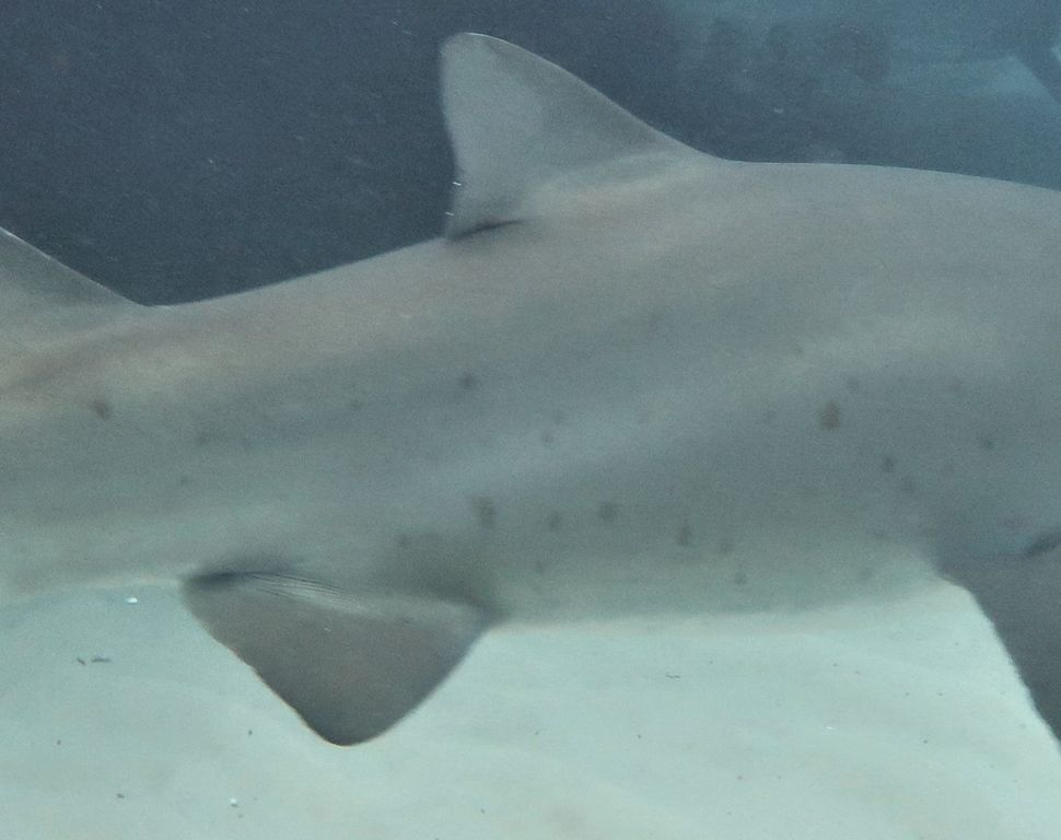 d3e5676f-2e69-4172-b788-50a3dd008a21