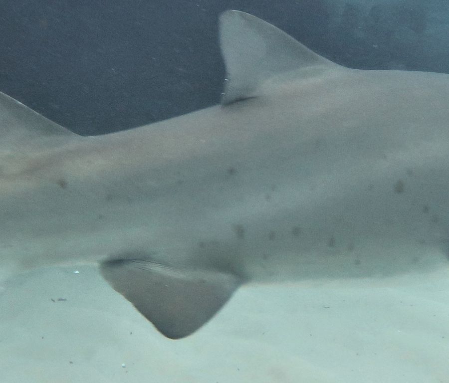 d3e5676f-2e69-4172-b788-50a3dd008a21