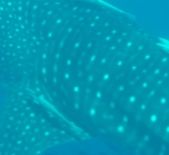 2b633f57-af8c-473a-921f-e431bee984b9