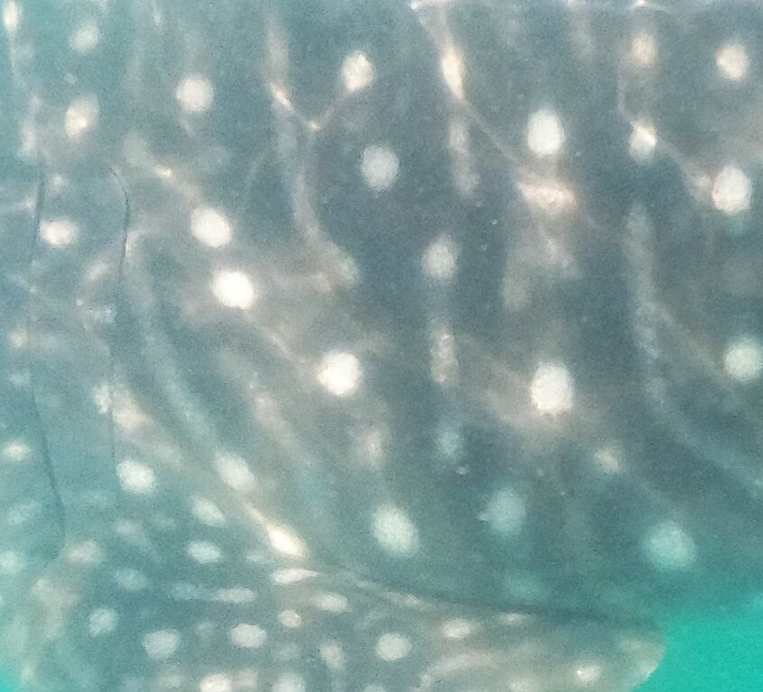 a4d4d169-cfda-4936-a07d-db98db6b4a0f