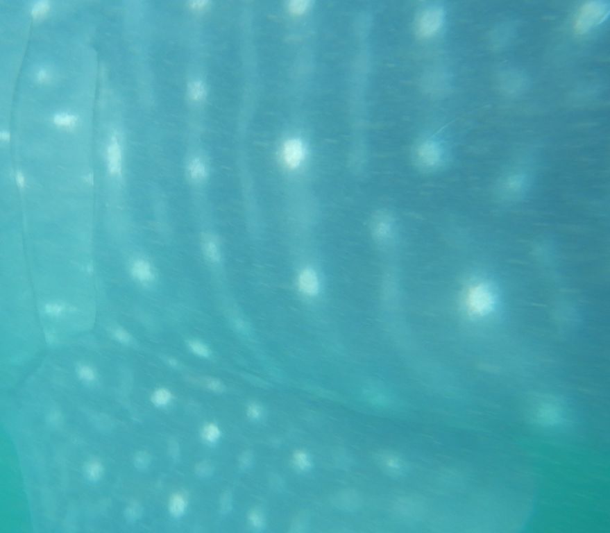 f767afd0-154b-4433-8a8c-5084eb56f8e1