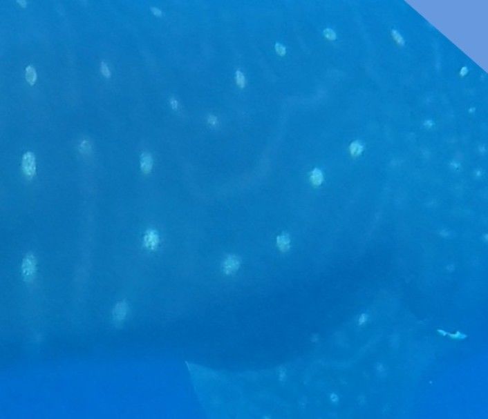 2fee9d81-1847-4c5a-a992-8a6606fc3116