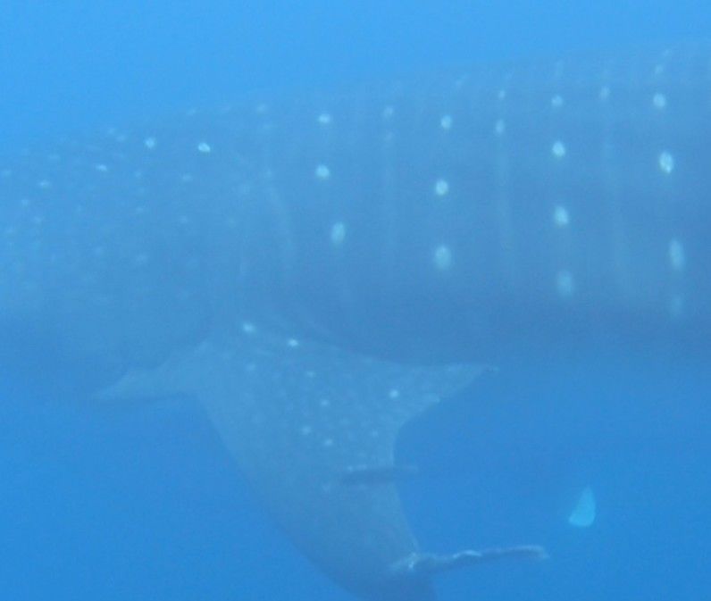 2fee9d81-1847-4c5a-a992-8a6606fc3116