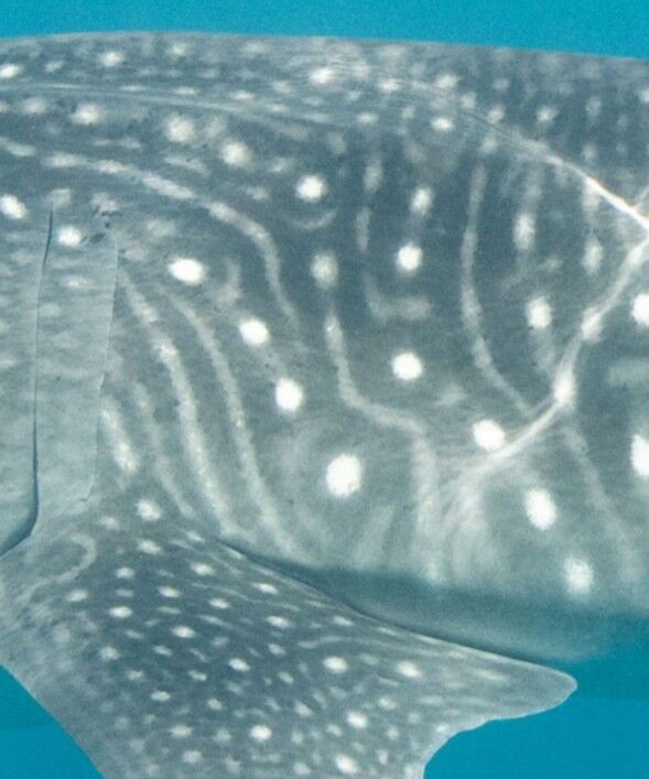 a6de4866-2477-4ead-918d-9e1802070ec7