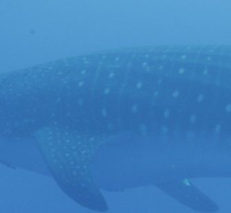 c3fb2b6d-bf60-4f16-876e-d83f00413426