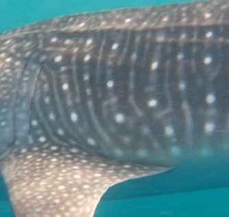 2142c97c-fbf0-4f8b-a708-0a090e0cb94c