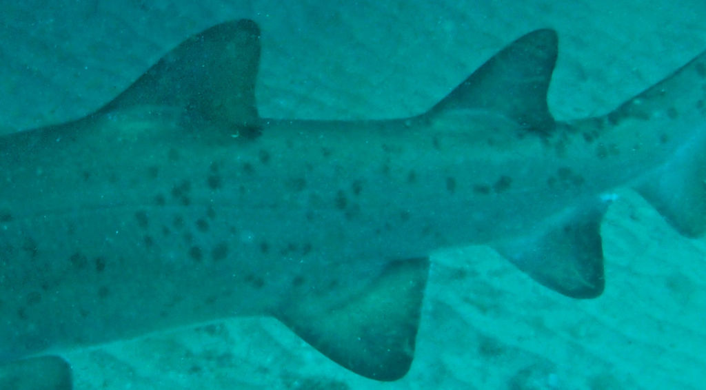 df44371a-af51-4031-b53b-9360417ea6d9