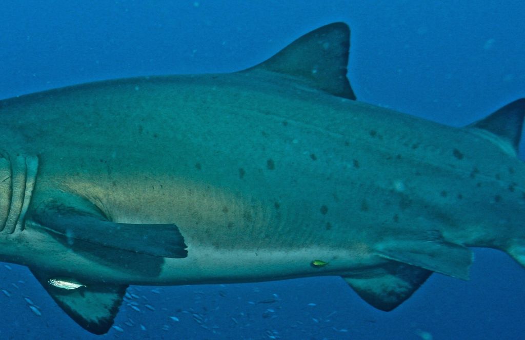 e37d1e9a-82de-40ea-b130-91603f587220