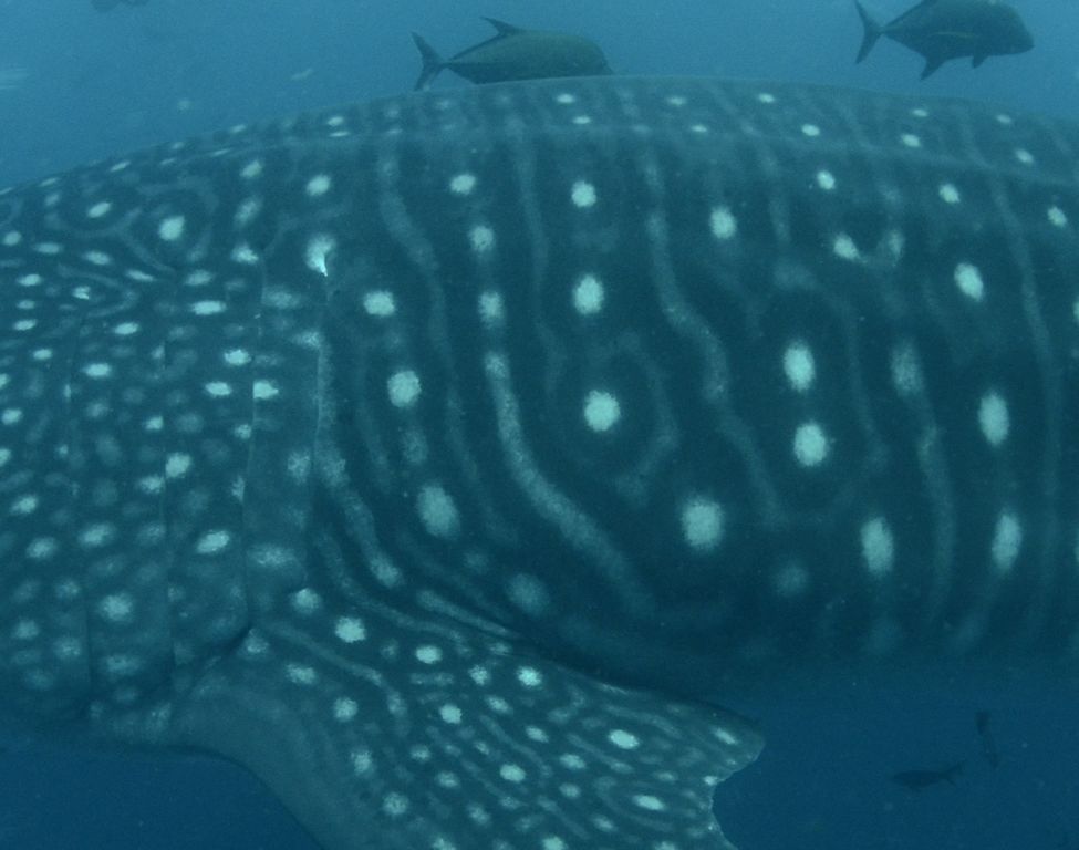 51e44165-d8d5-4535-ab71-1a9d5df826b4