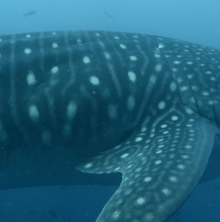 51e44165-d8d5-4535-ab71-1a9d5df826b4