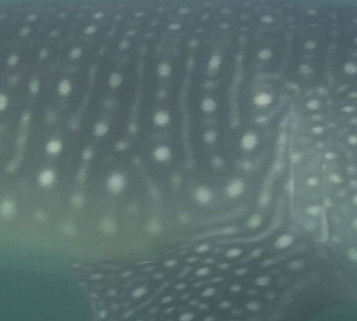 54e3d2af-5e24-4dfb-ab96-ff672d792227