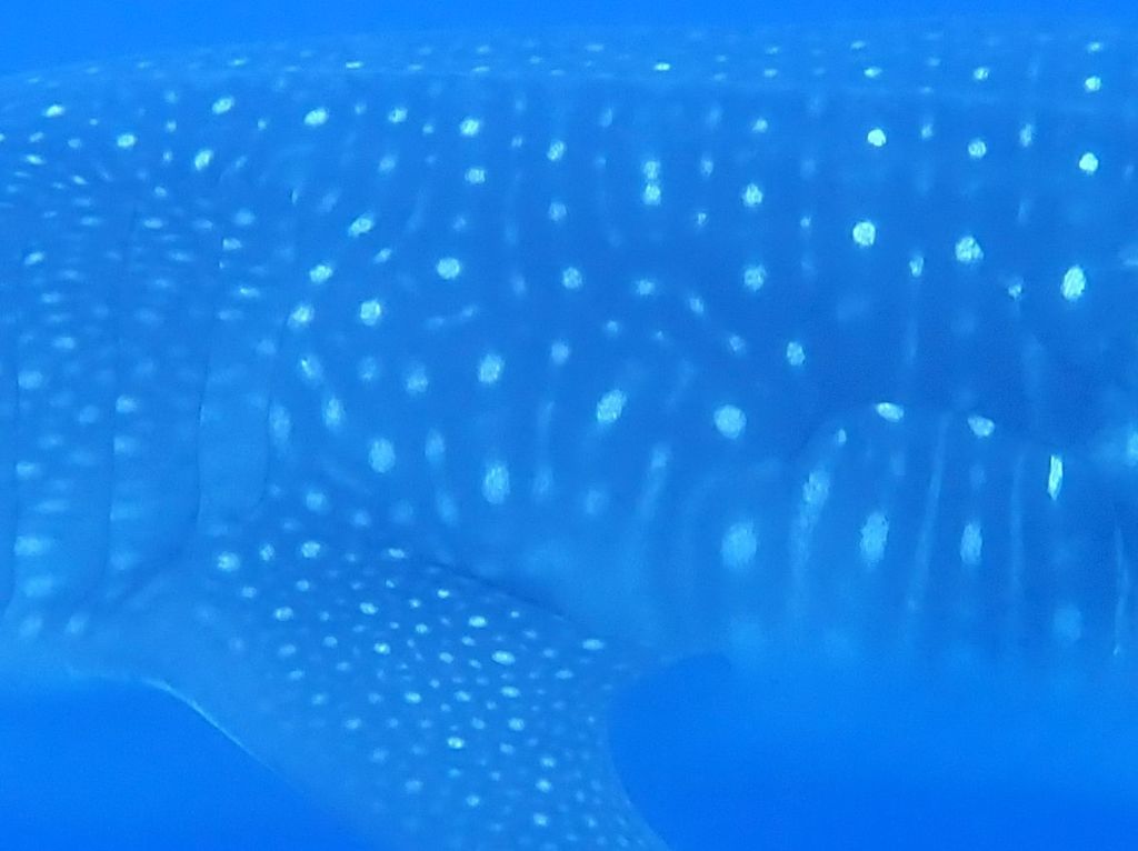 b37189f2-f0a4-48e5-9d24-50074a772839