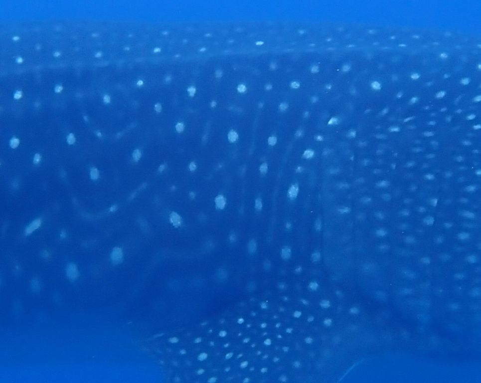 b37189f2-f0a4-48e5-9d24-50074a772839