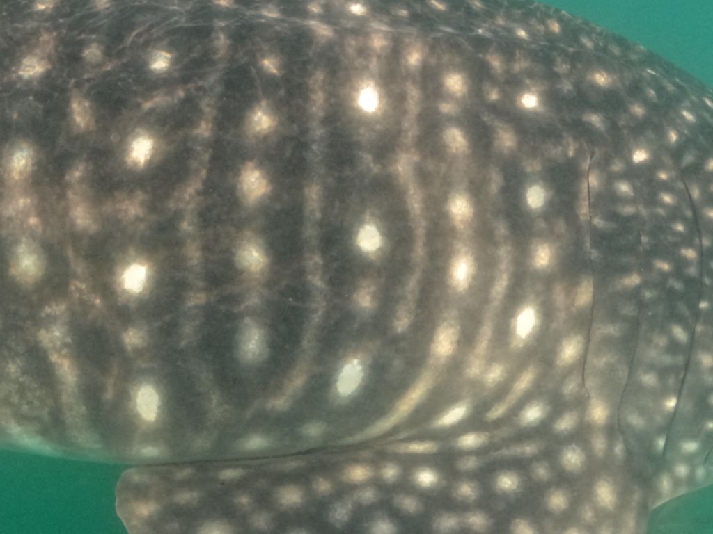 0f89c903-959a-466b-819a-c9eef4f5d500