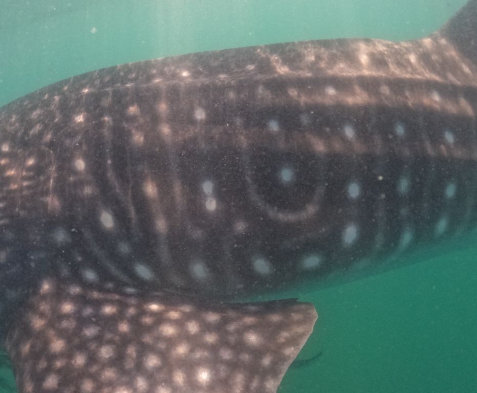 0f89c903-959a-466b-819a-c9eef4f5d500