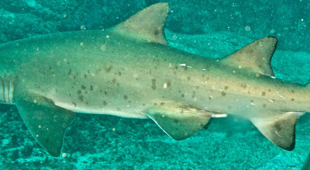 b8adad0d-6496-4403-9b96-5843bbf3460d