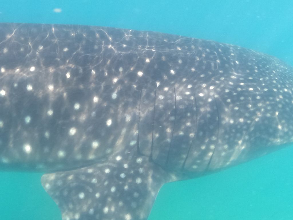 1f77e760-8b11-4fd1-80c8-cf347e72d5cf