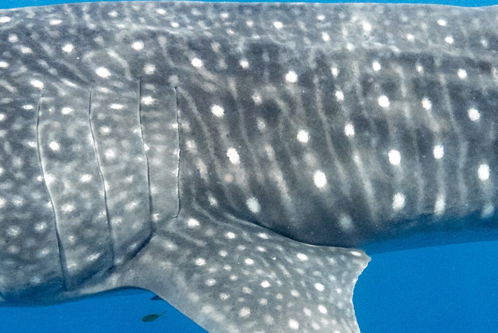 1cfbb6d2-0a4a-47f5-9e36-3f8be8d4678d