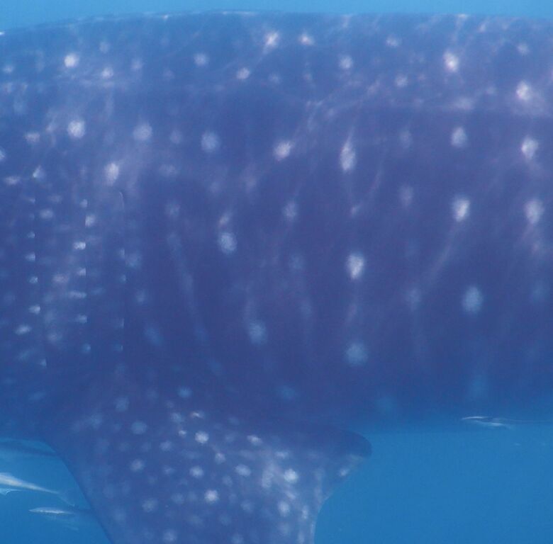 07c44992-48d5-4748-ac7d-ac85a7309d99