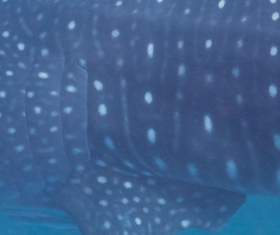 5e49100d-2fcf-4366-971c-6e5bd6120b2a