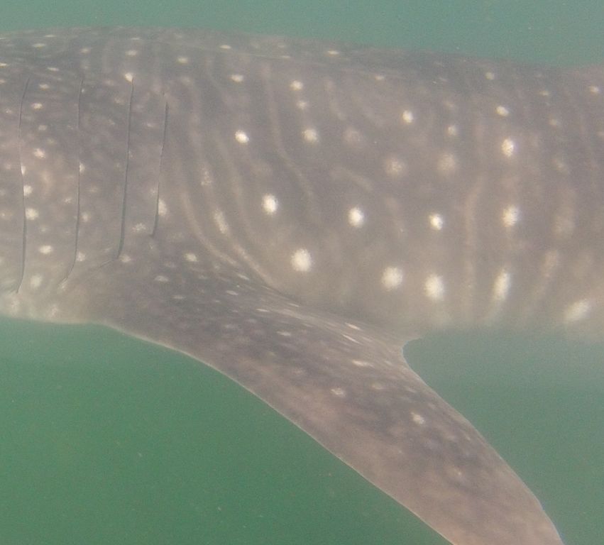 580969f9-aaef-4adc-acb9-80ed9d39f64a